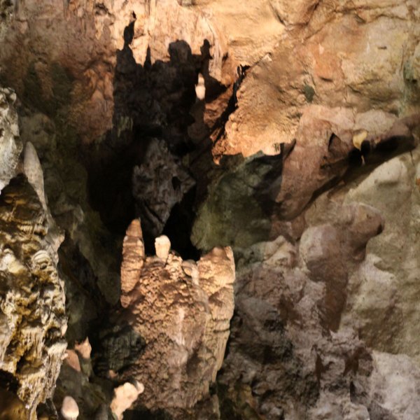 Carlsbad Caverns Nat'l Park