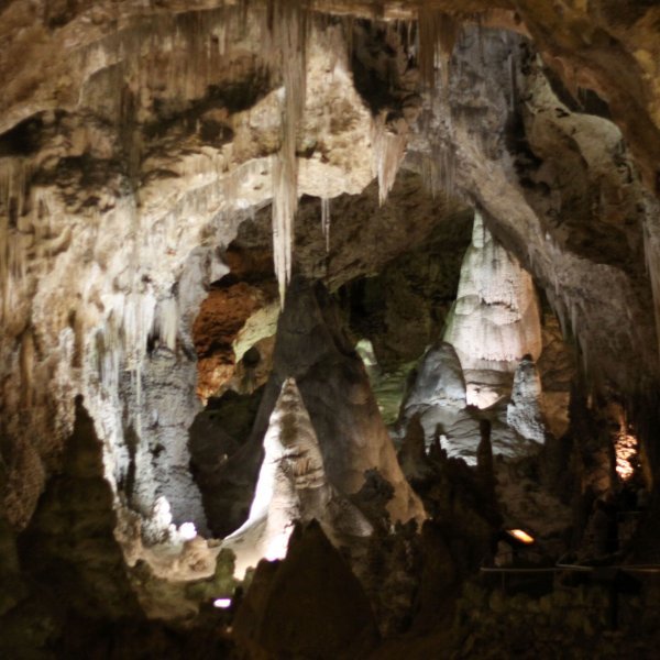 Carlsbad Caverns Nat'l Park