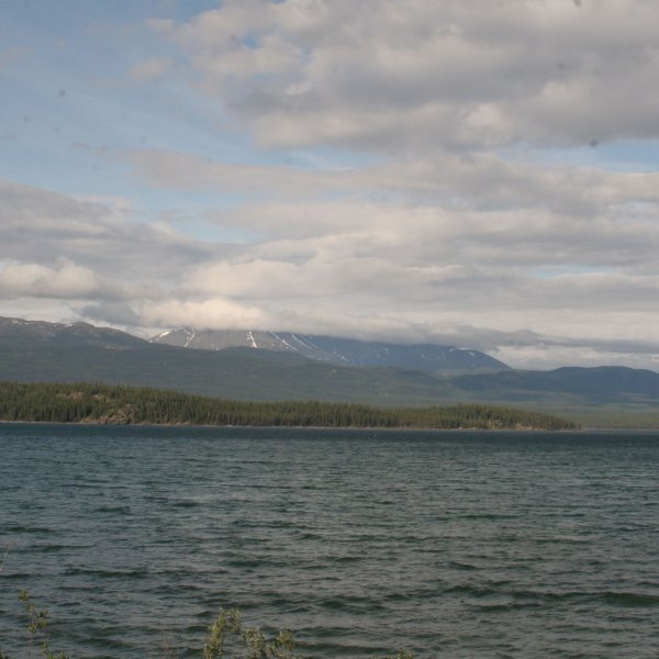 Marsh Lake