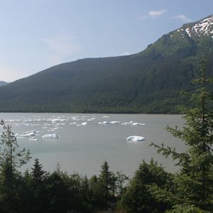 Iceberg field