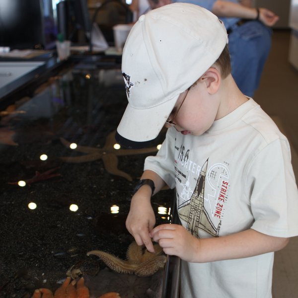 The Touch Tank