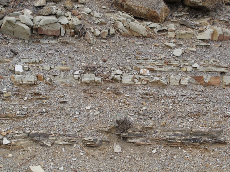 Shale Layers