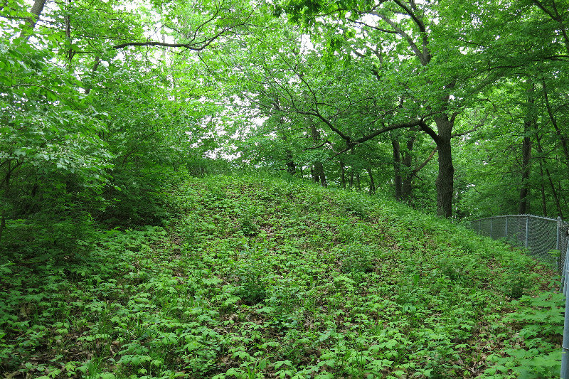 Burial Mound