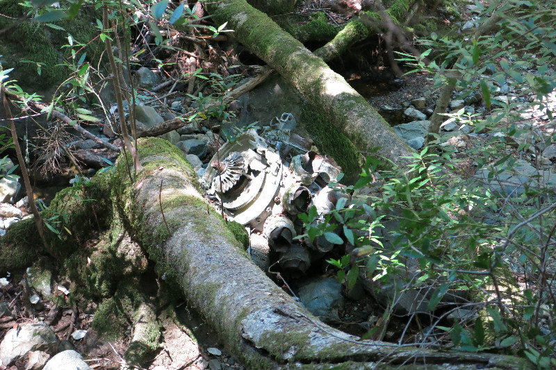 Corsair Wreckage