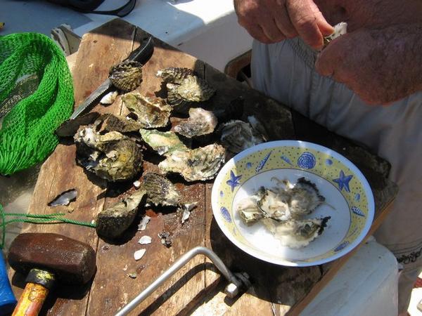Bordje met oesters, vers uit zee. Vooral lekkers voor Berna en Fred.