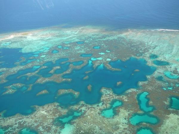 Een overzicht op het koraalrif met veel azuurblauwe poelen.