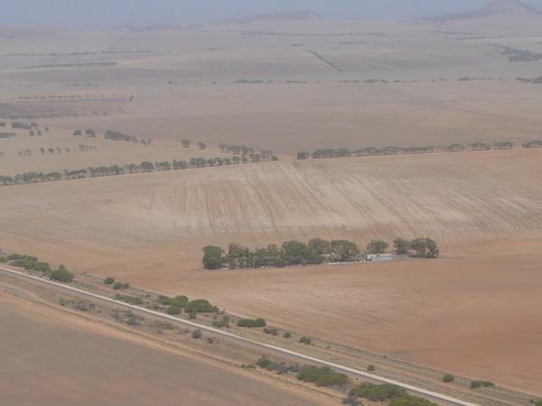 De weilanden rond Geraldton zien er erg verdord uit.