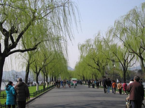 De Bai-dijk met veel volk dat wat komt wandelen of fietsen.