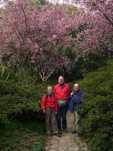 Groepsfoto bij lentebloesems in Wuxi.