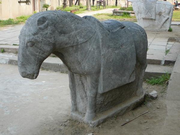 Dit paardje heeft veel te lijden onder de toeristen en vooral hun kinderen.