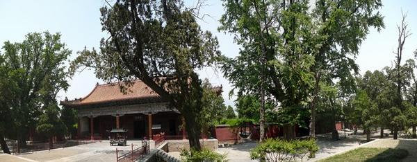 De Dai Miao heeft heel veel bomen waartussen men de gebouwen moet zoeken.
