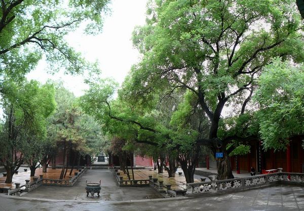 Panoramische foto van een binnenplaats van de Confuciustempel om toch maar de mooie bomen er ook op te krijgen.