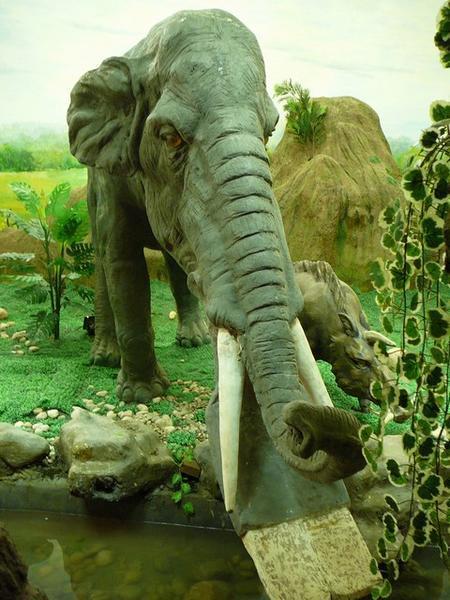 Reconstructie van Hezhen-olifant.