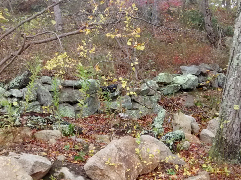 One of many old stone walls in the area...