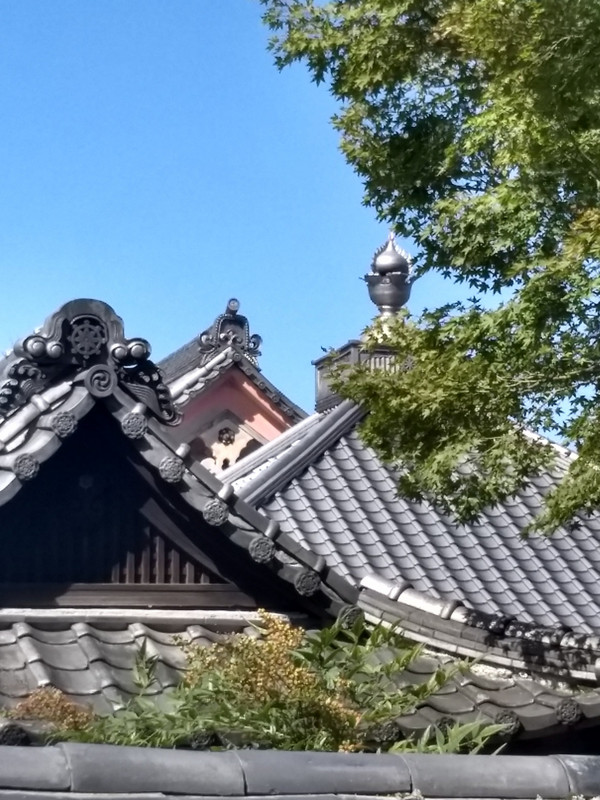 Roofs Tofukuji
