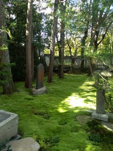 A peaceful Moss garden at a small temple building Tufukuji
