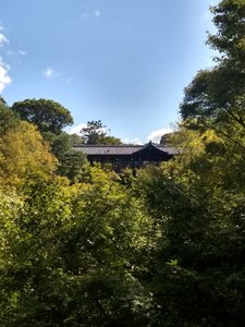 The famous maple grove in the Tofukuji gardens.