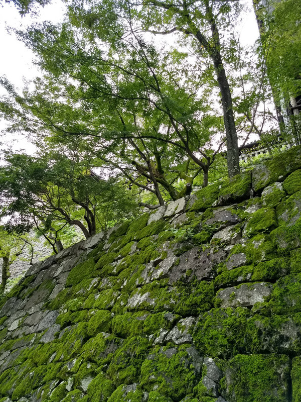 Kiyomitzudera wall