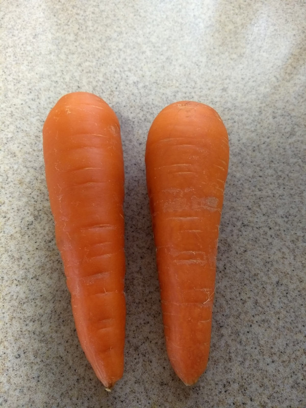 Giant perfect carrots from the JA store nearby