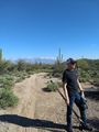 Looking at the Catalina Mountains from the hiking trail