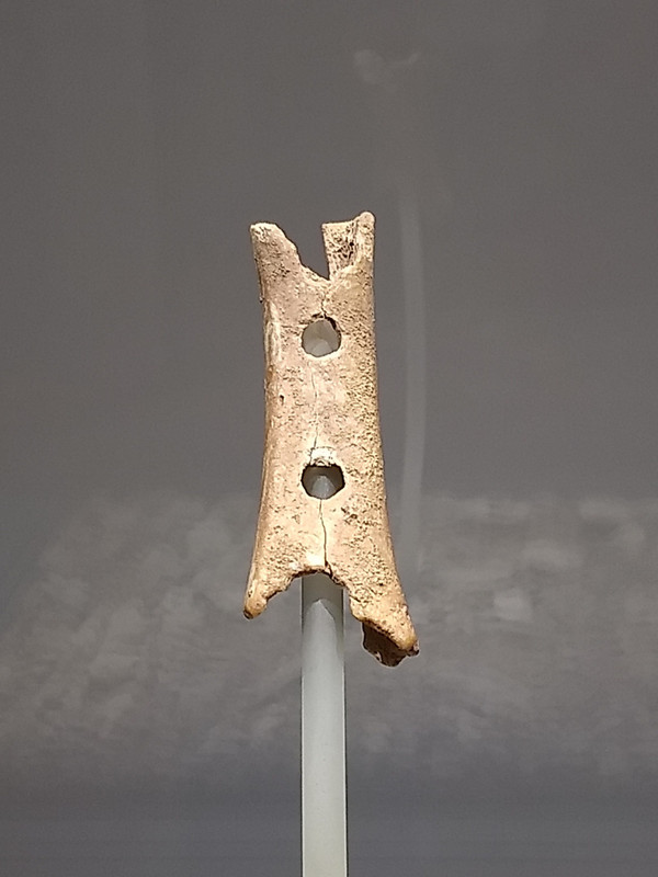 Neanderthal Bone Flute