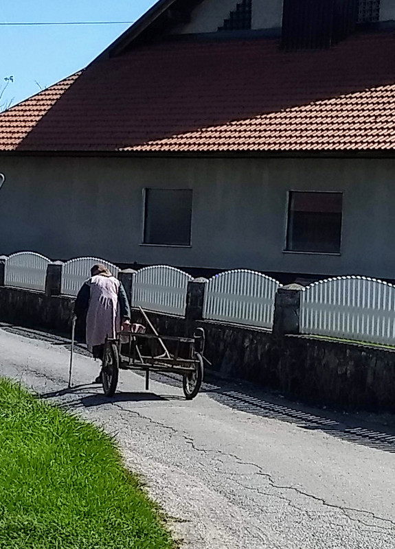 This elderly woman, walking with a cane and pulling a cart passed us, not far from the highway...