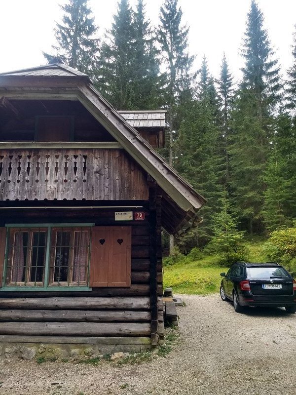 Our forest cabin