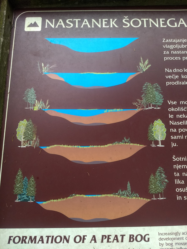 One of the information panels on the bog walk