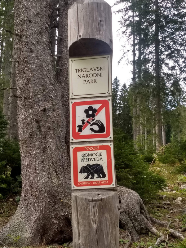 A Slovenian bear warning!