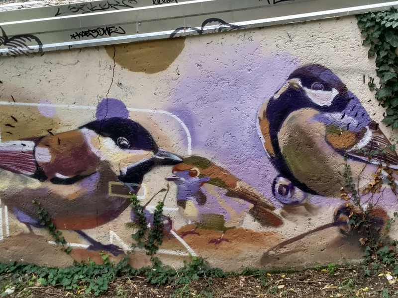 Beautiful graffiti of birds