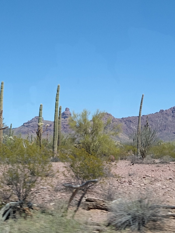 Across the border, driving through beautiful desert