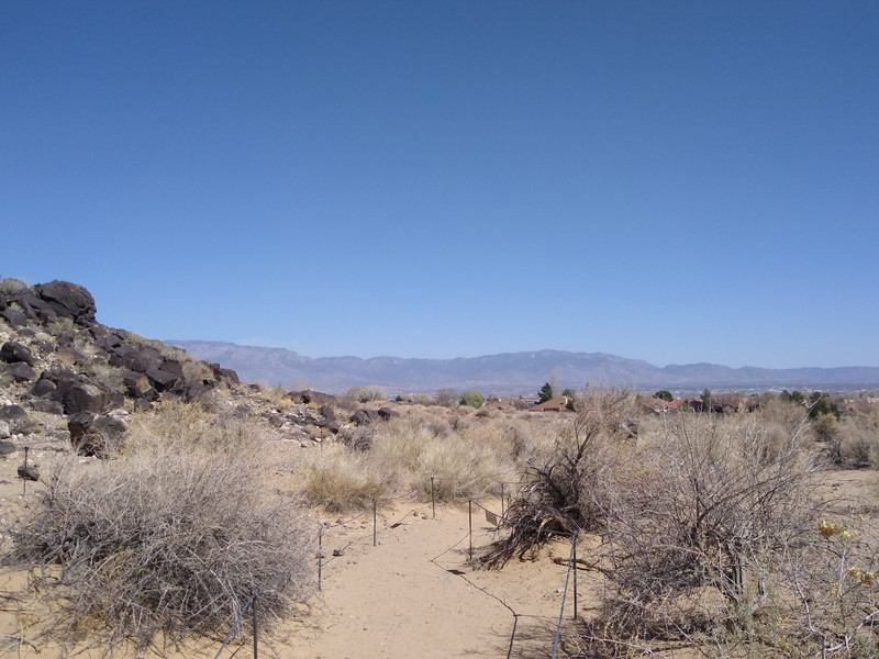 Petrogyph Trail in Albuquerque
