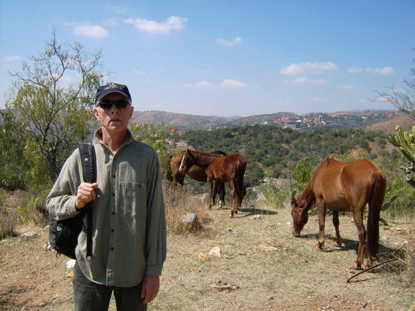 Bill and horses on the way up the mountain