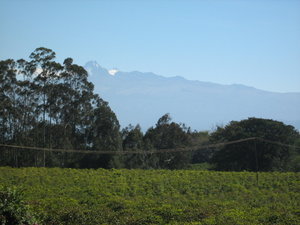 Mt Kenya again!