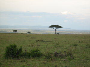 View over the Masai Mara