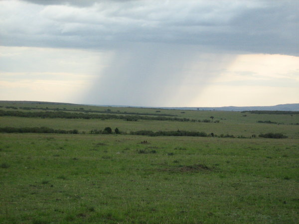 Rain coming over the savannah