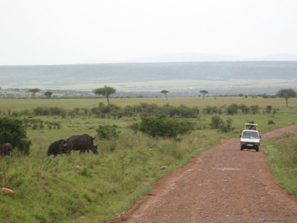 Leaving the Masai Mara....