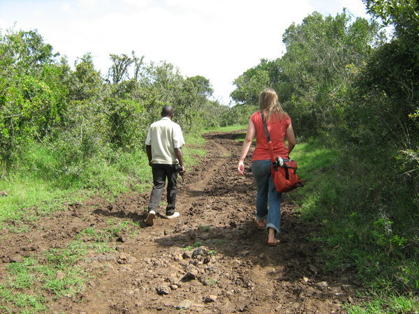 Walking down the road to where the giraffes are...