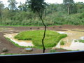 Water hole from our room