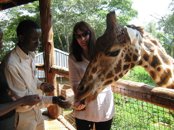 Feeding a giraffe!