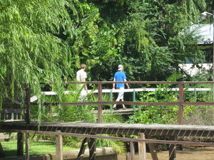 Enders and Bill walking "in town" in Tres Bocas