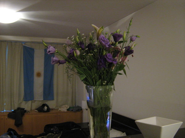 Flowers I bought for our hotel room in BA
