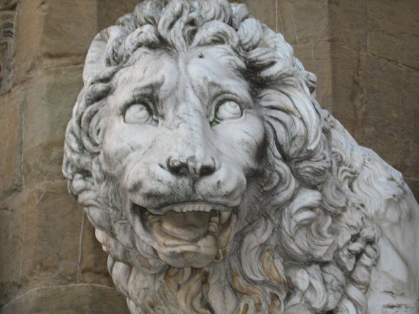 Lion Florence