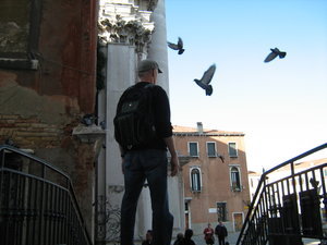 Bill and Pigeons Venice