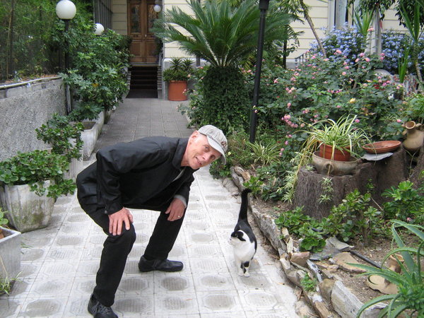 Bill and hotel cat