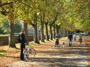 On the Ramparts, Lucca