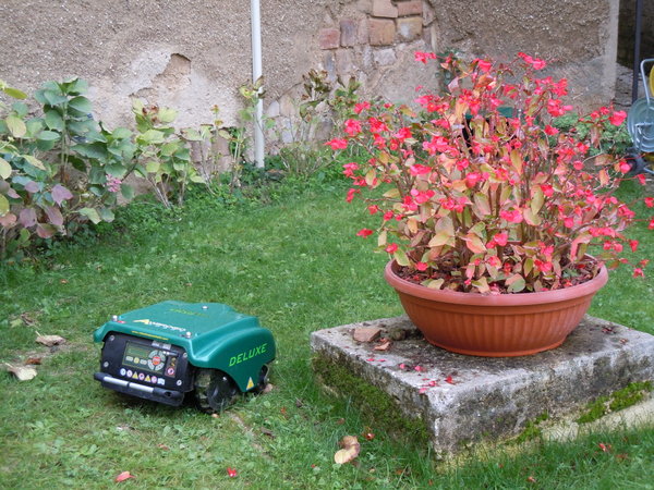 Lawn mower robot!