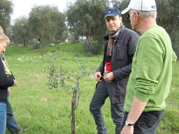Francesco and newly grafted tree