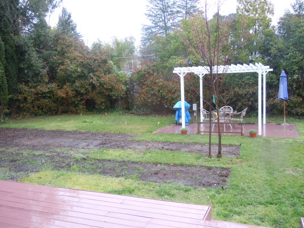 Backyard...downpour