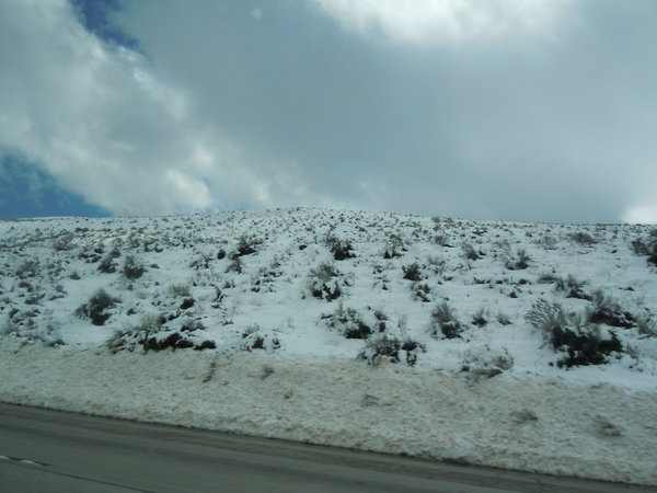 Snow on Tejon Pass